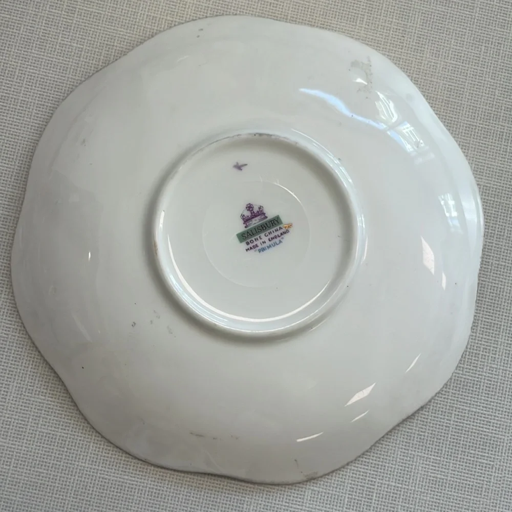Vintage Salisbury Bone China ☕️single teacup set